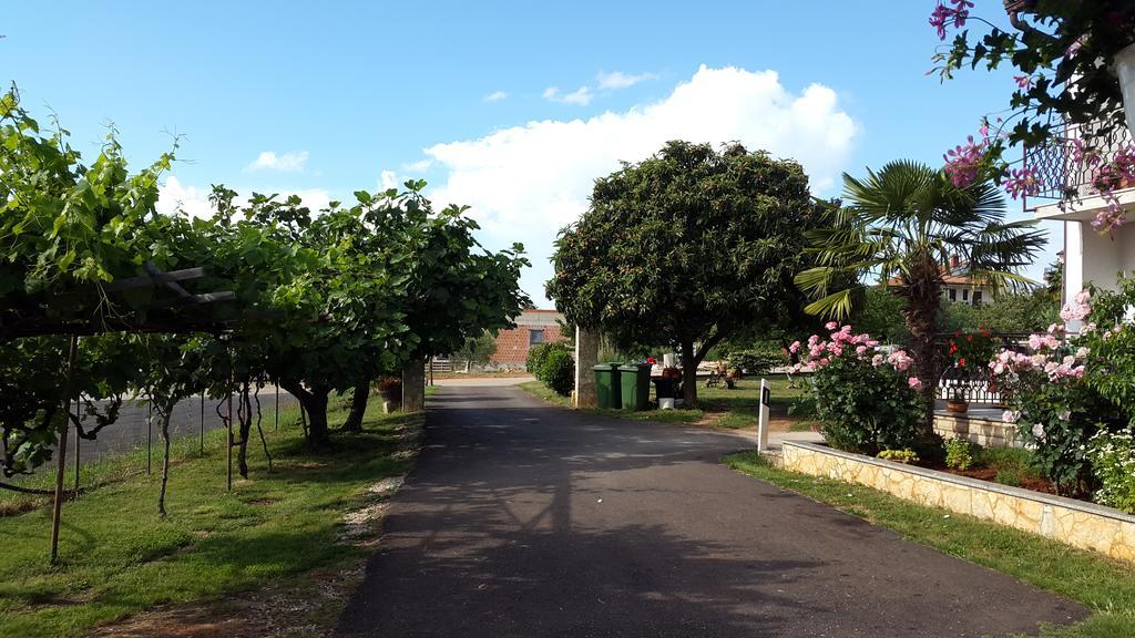 Apartment Samanta Novigrad Istria Exterior foto